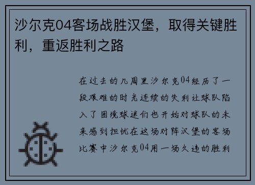 沙尔克04客场战胜汉堡，取得关键胜利，重返胜利之路